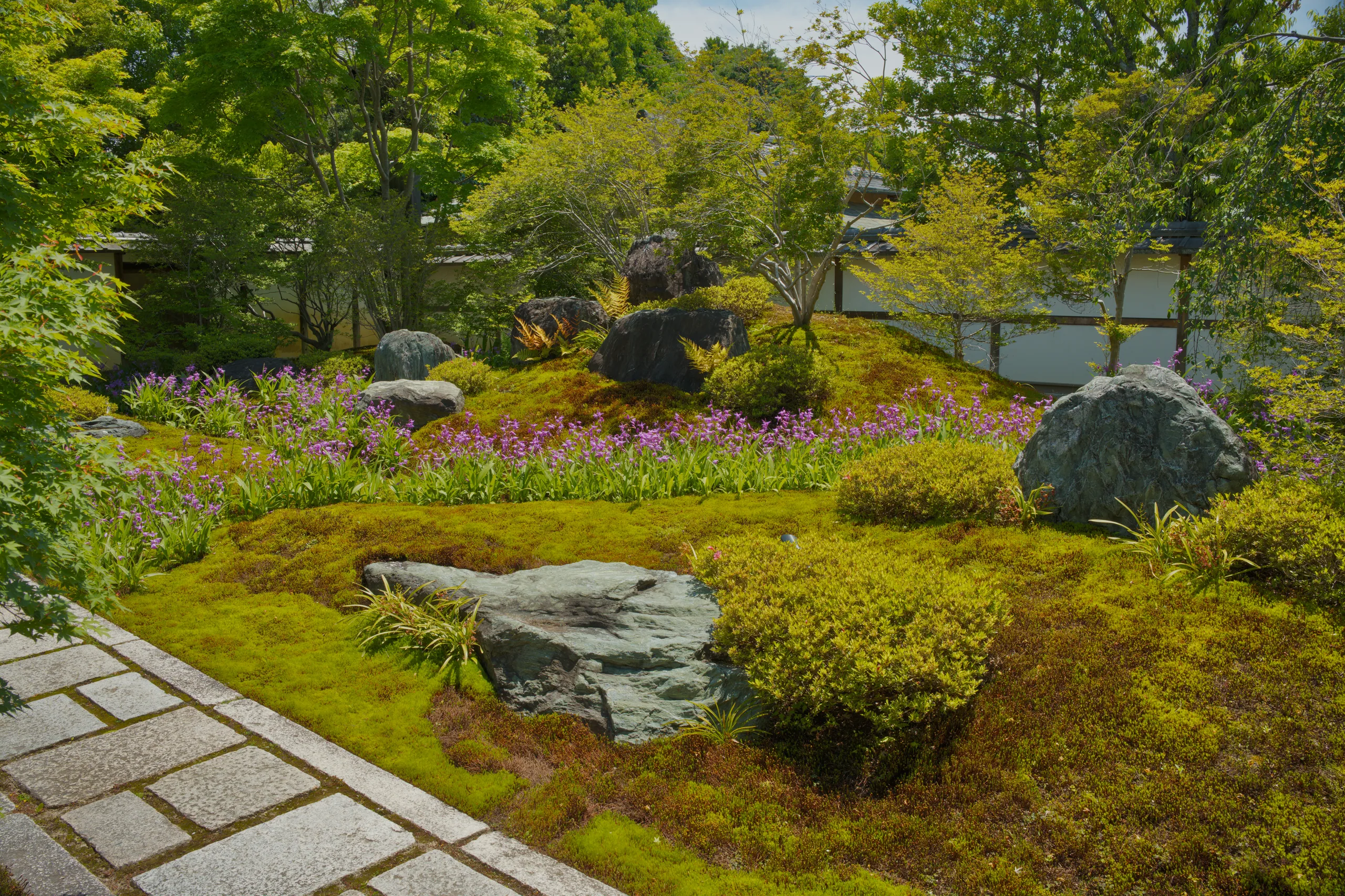 A moss-carpeted garden studded with boulders and ferns, with winding stone pathways through densely planted areas.