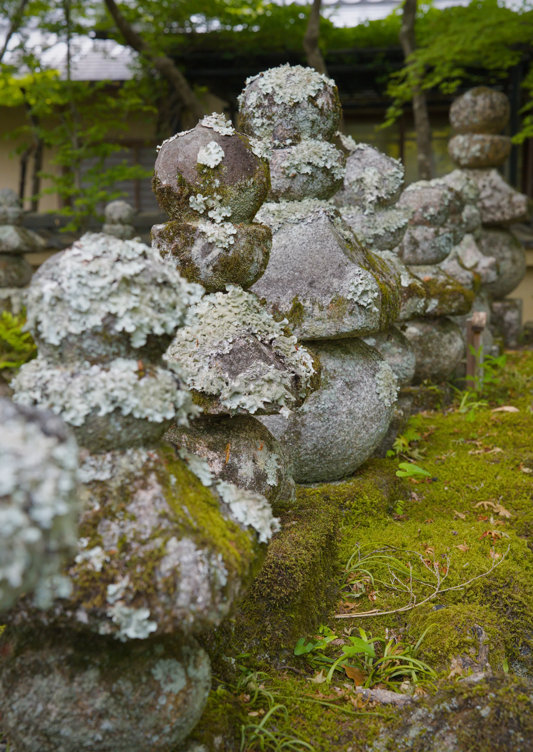 Stone lanterns covered in lichen rest amid moss-covered ground and green foliage.
