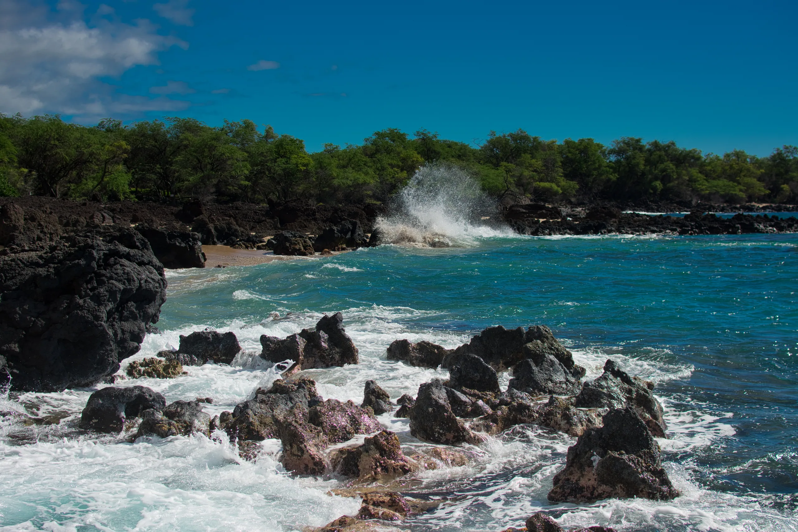 Surf breaking white over black lava rocks on a Hawaiian shoreline, turquoise water beyond and low trees along the headland.