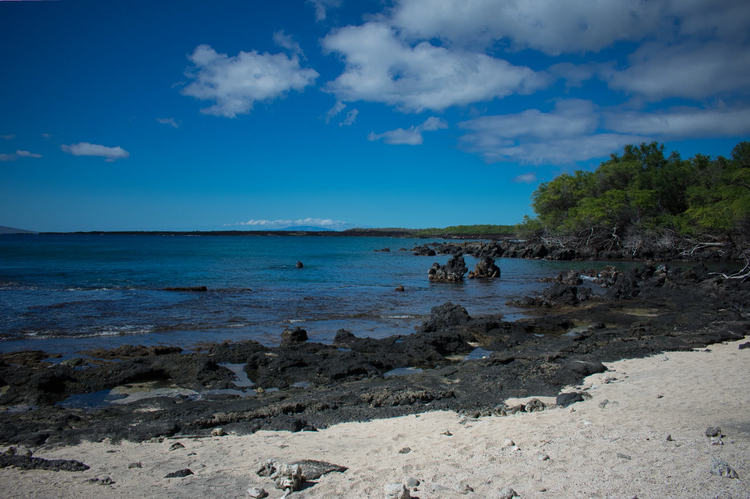 A sandy beach curving away past dark lava rocks into shallow blue water, low trees along the shoreline.