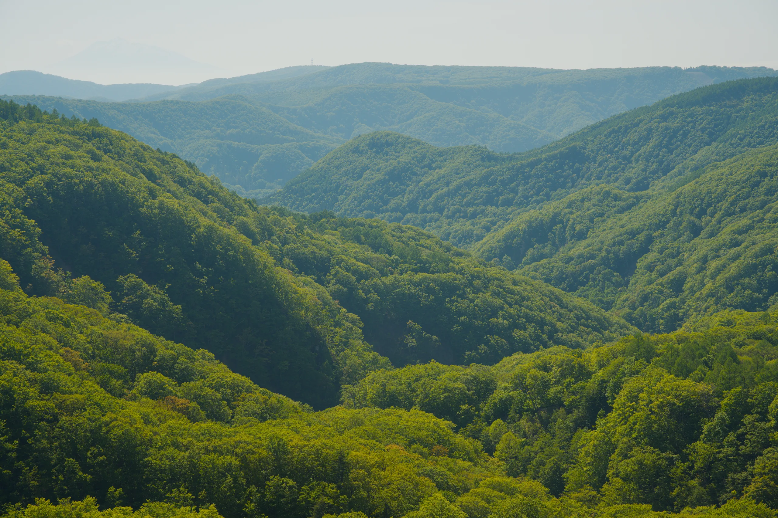 Forested hills and valleys stretch into the distance beneath a hazy sky.