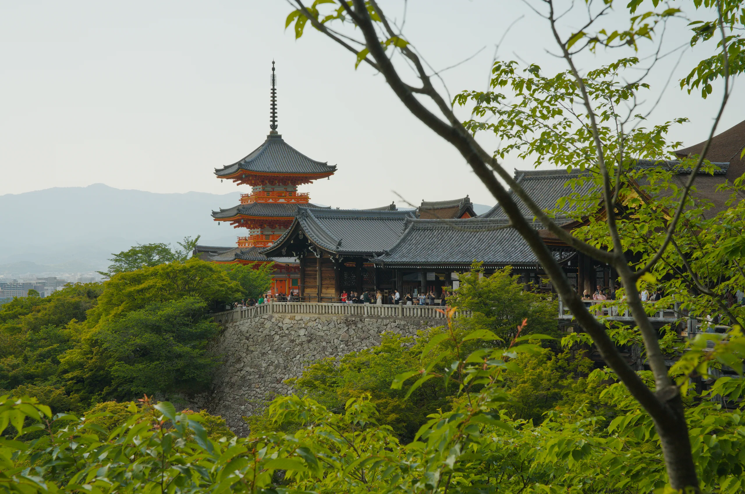 Red temple buildings with pagoda roofs visible through foreground tree branches, with mountains beyond.