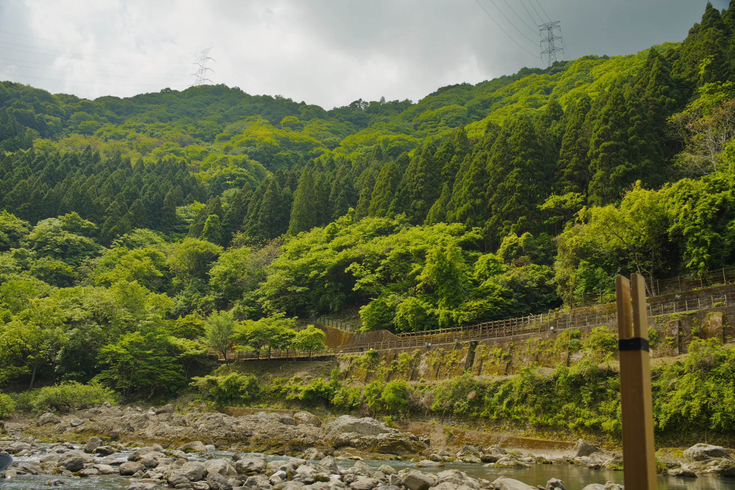A wooden fence overlooks a steep valley clothed in dense forest.