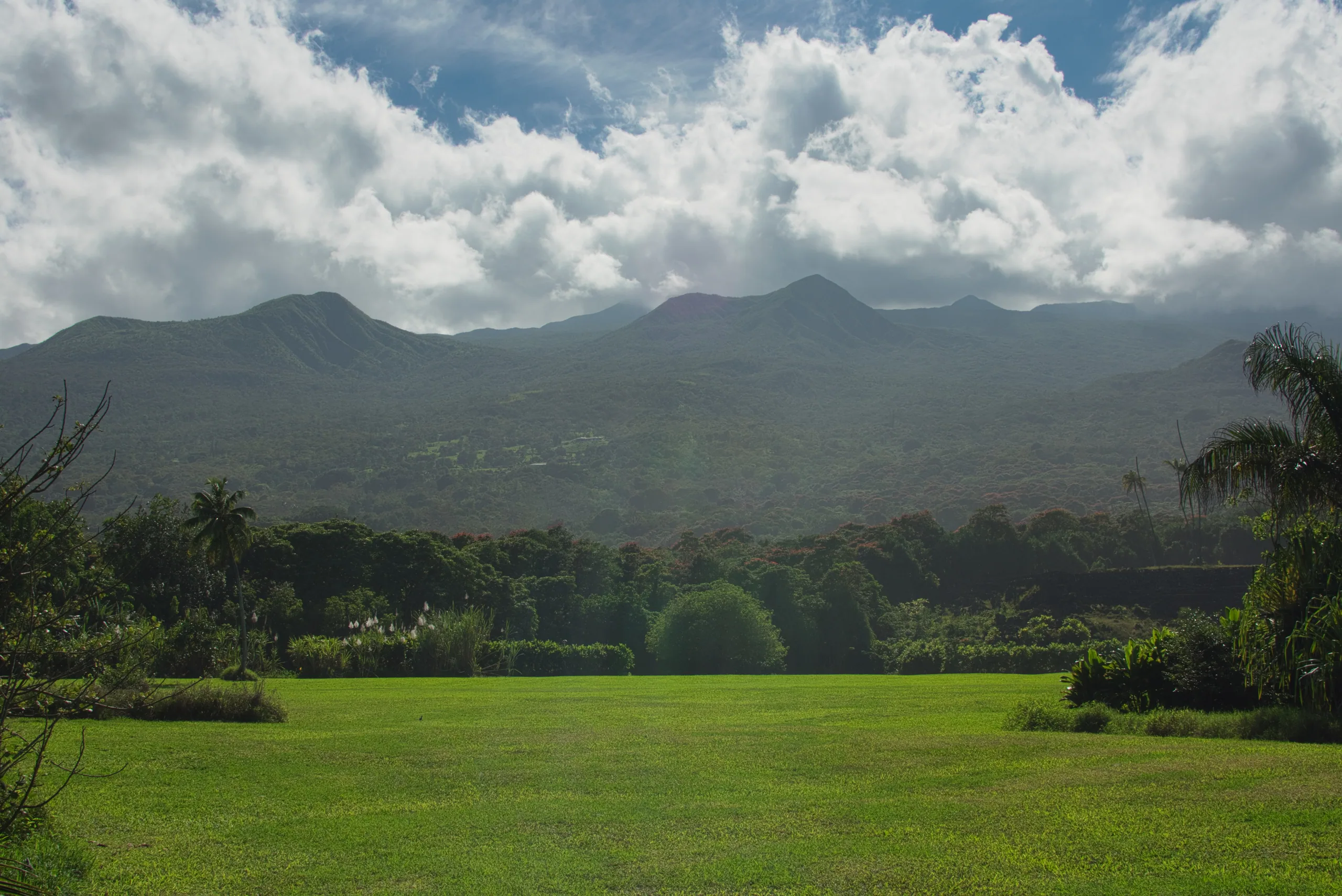 A wide green lawn running to a wall of trees, with a long cloud-capped mountain ridge behind.