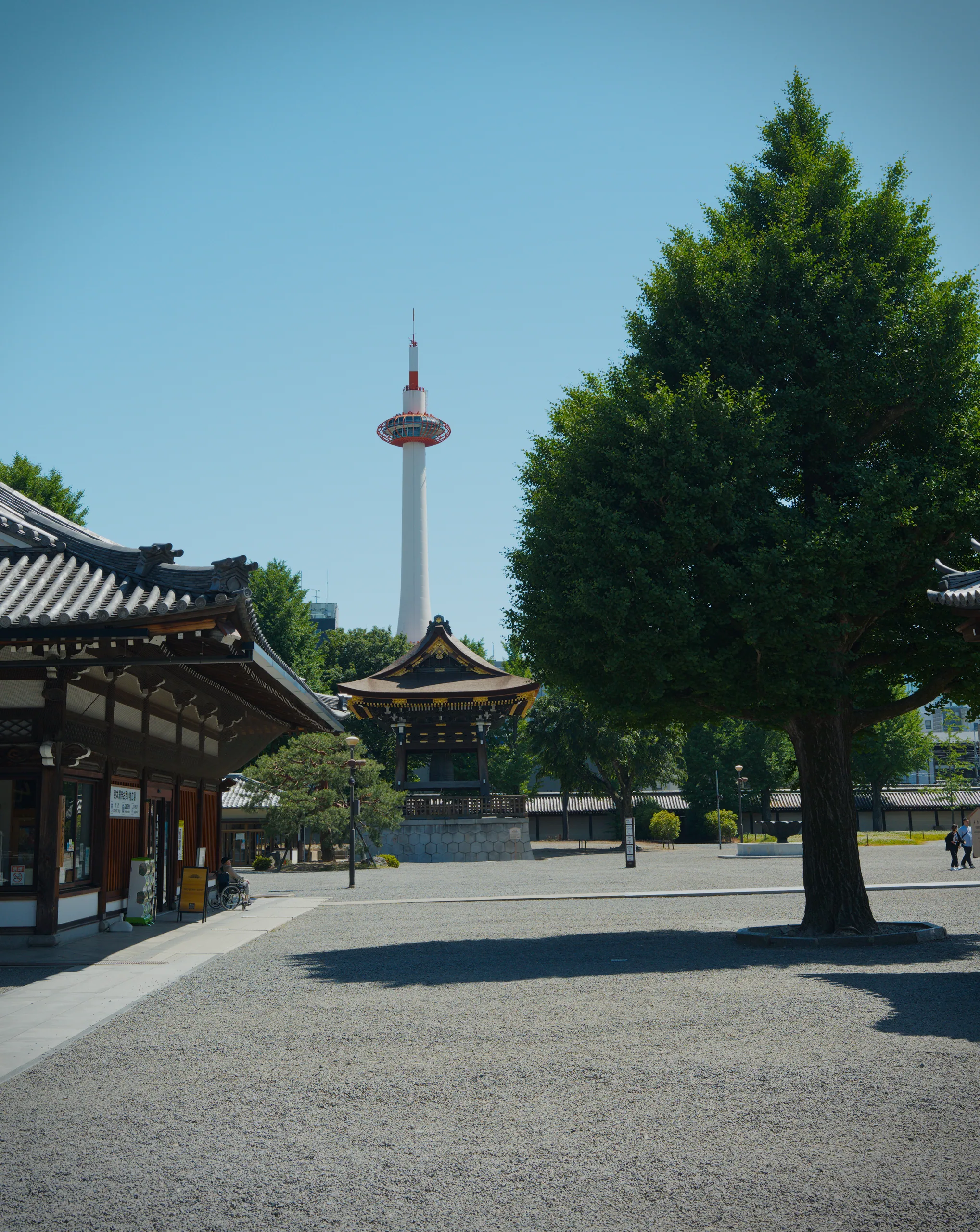 A temple courtyard with a tall pagoda tower, clustered roofed pavilions, and a large tree under blue sky.