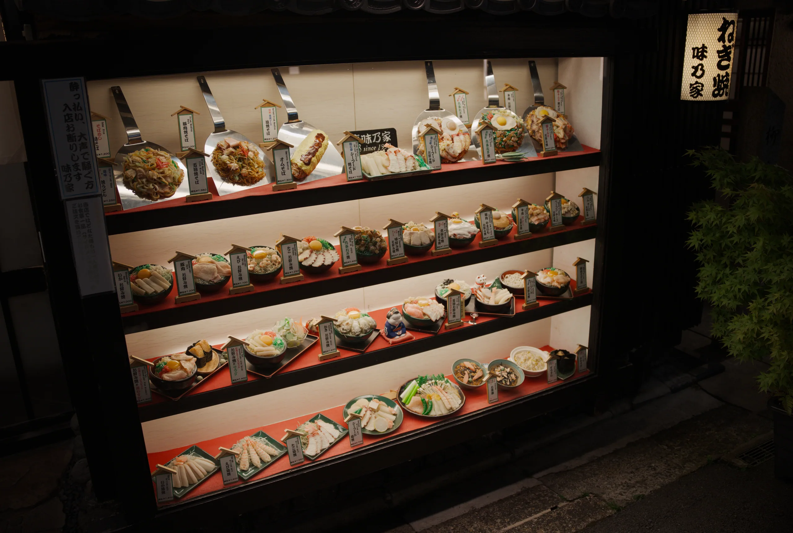 Display window showing rows of bowls filled with food arranged on shelves at night.