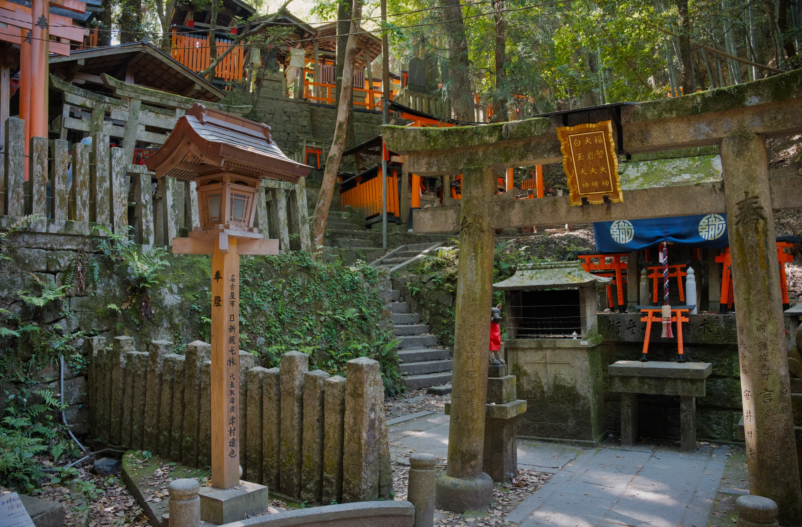 A temple pathway lined with wooden lanterns and red torii gates, winding through lush forest.