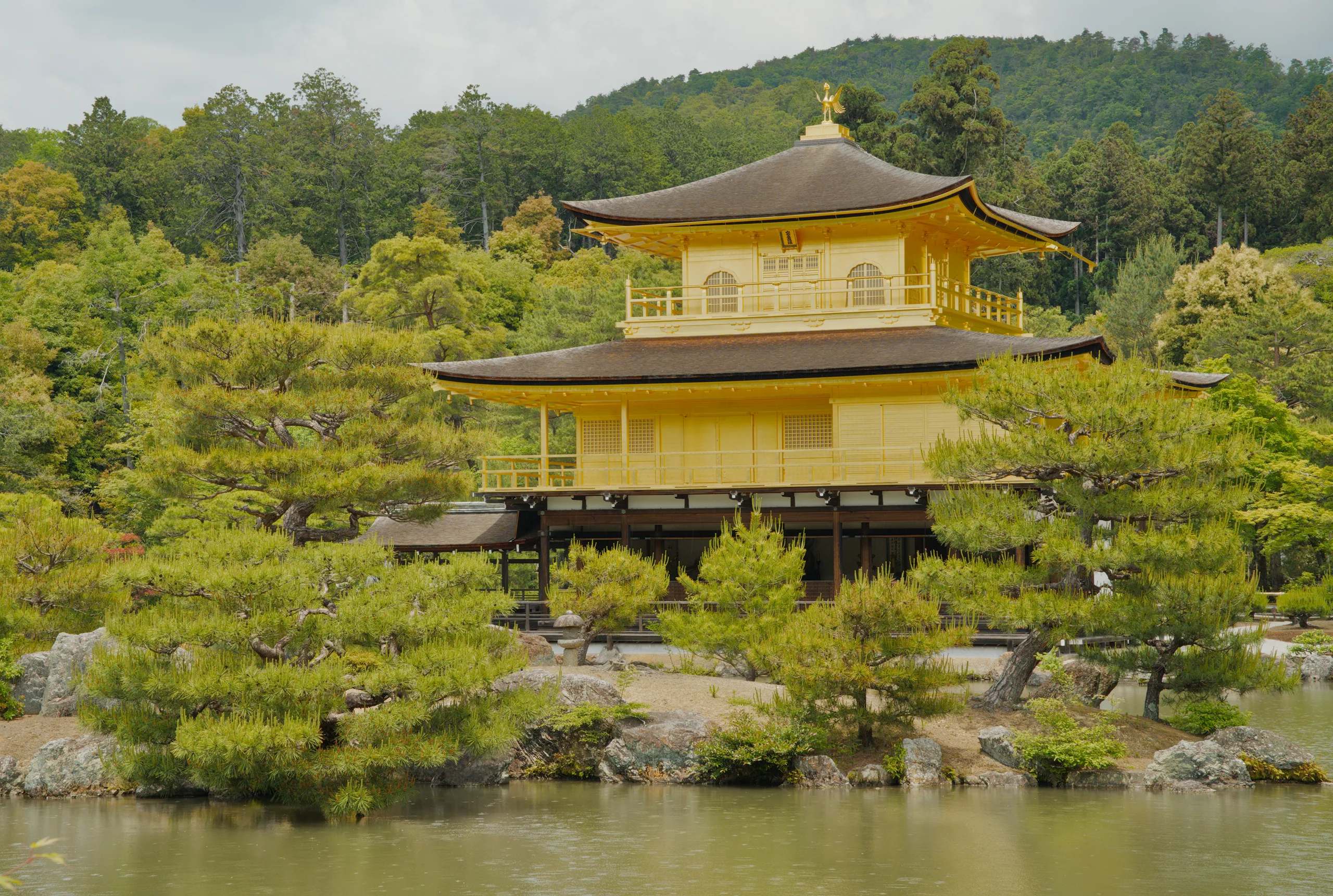 Golden-roofed Japanese temple pavilions set on forested peninsulas and islands in a wide pond.