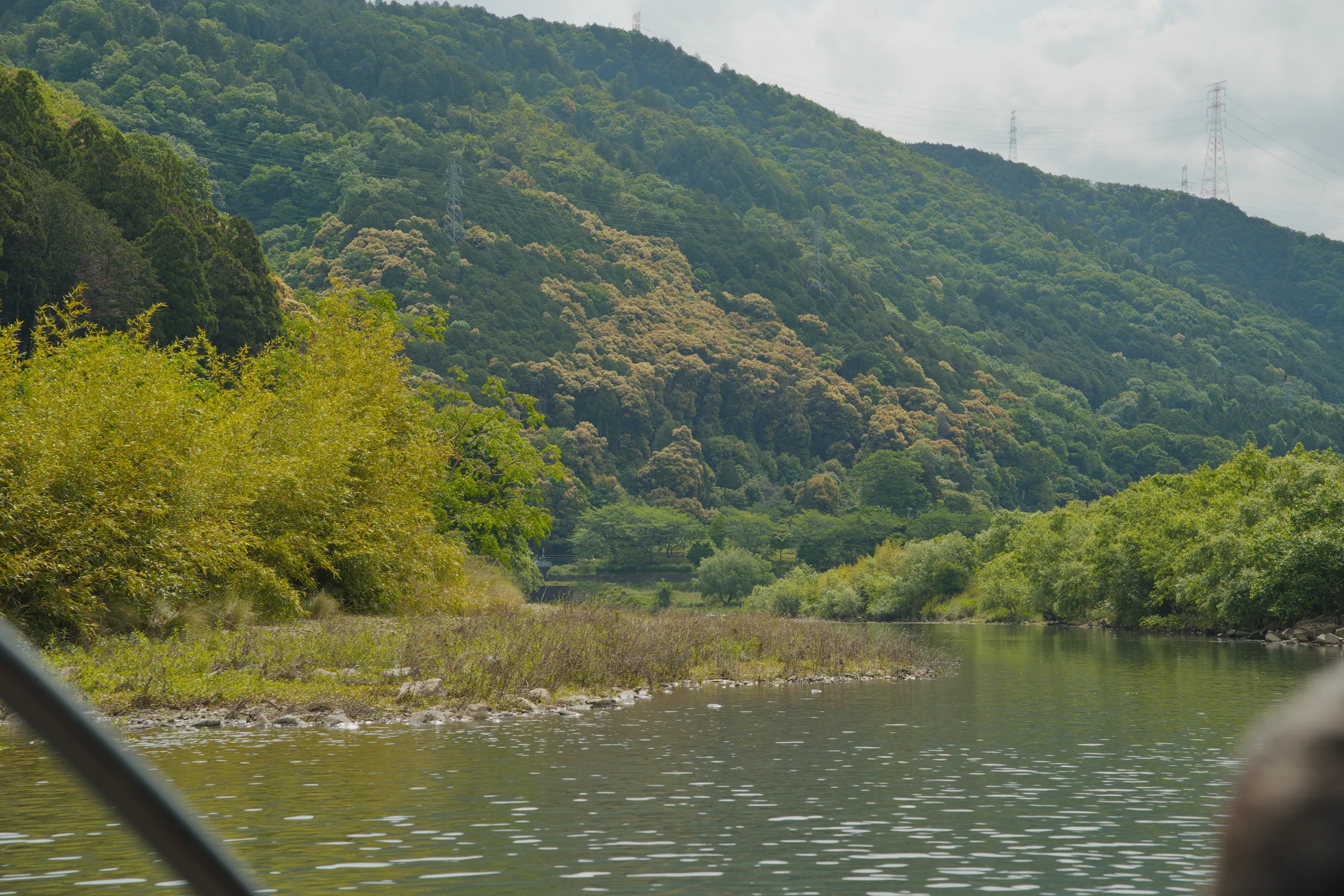 A river valley with steep forested hillsides and tall cypress trees standing on the right bank.