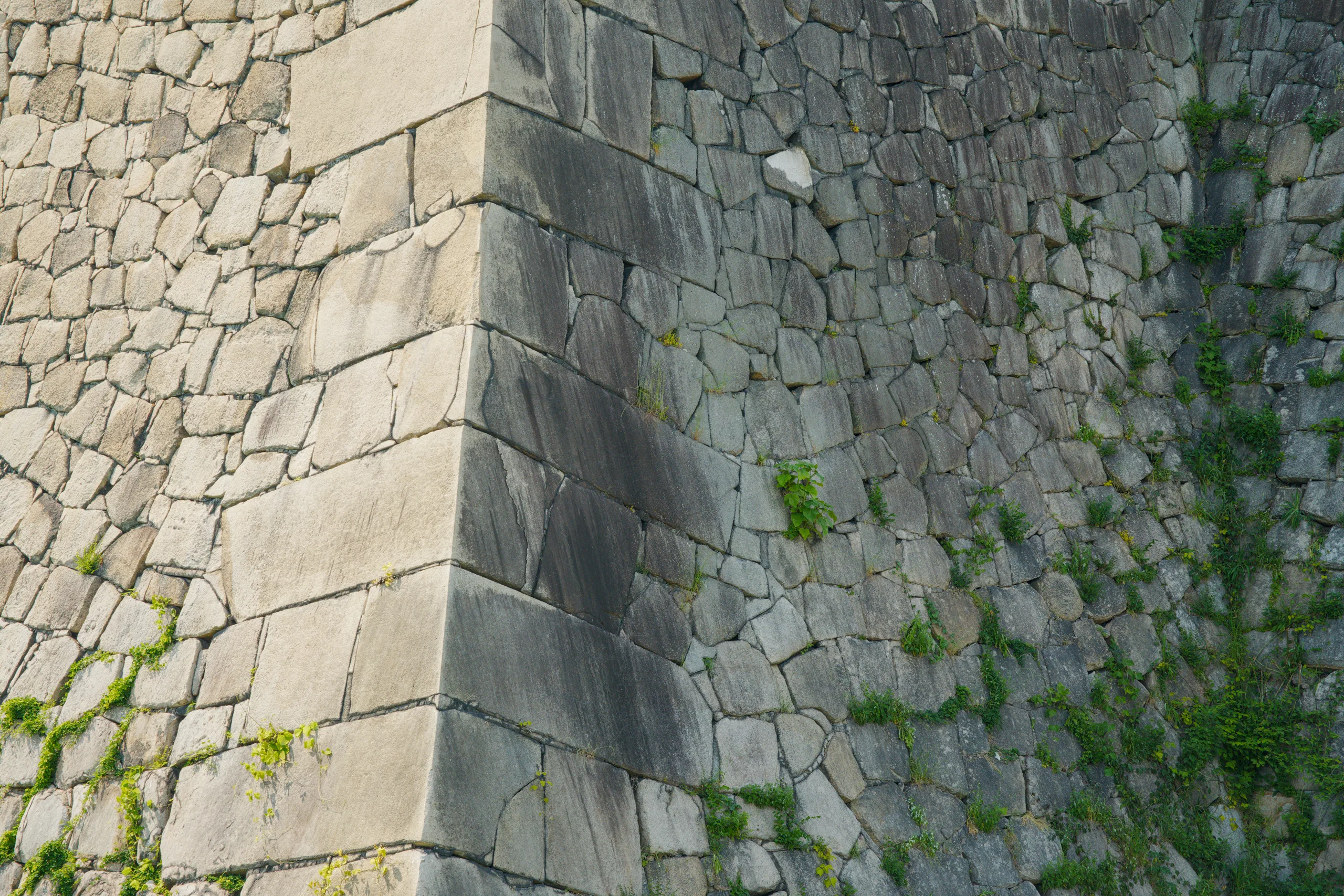 Sloped stone castle ramparts with regular ashlar stonework, lichen and vegetation growing on the surface.