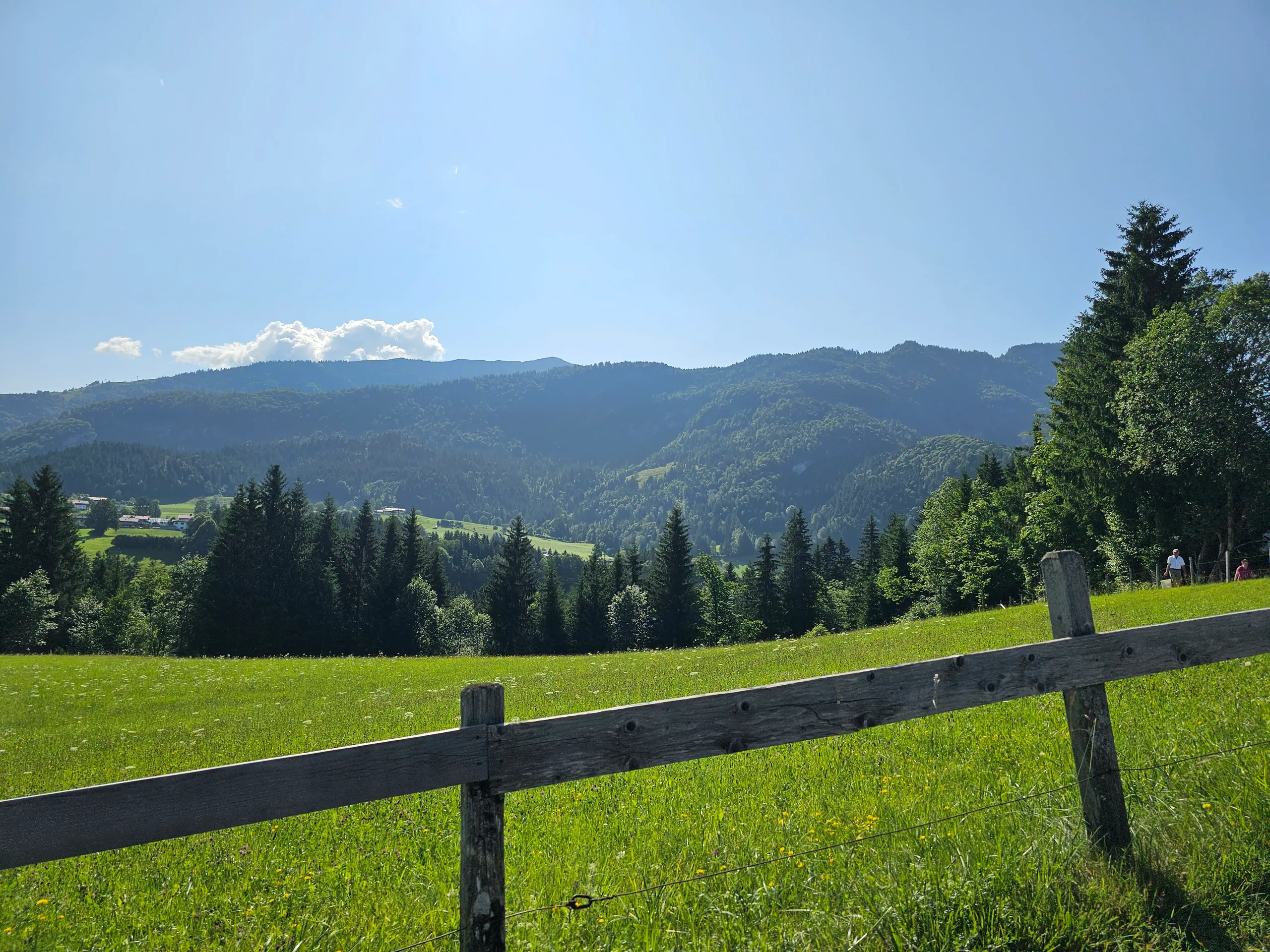 A wooden fence along an alpine meadow, dark conifers and forested ridges rising beyond.