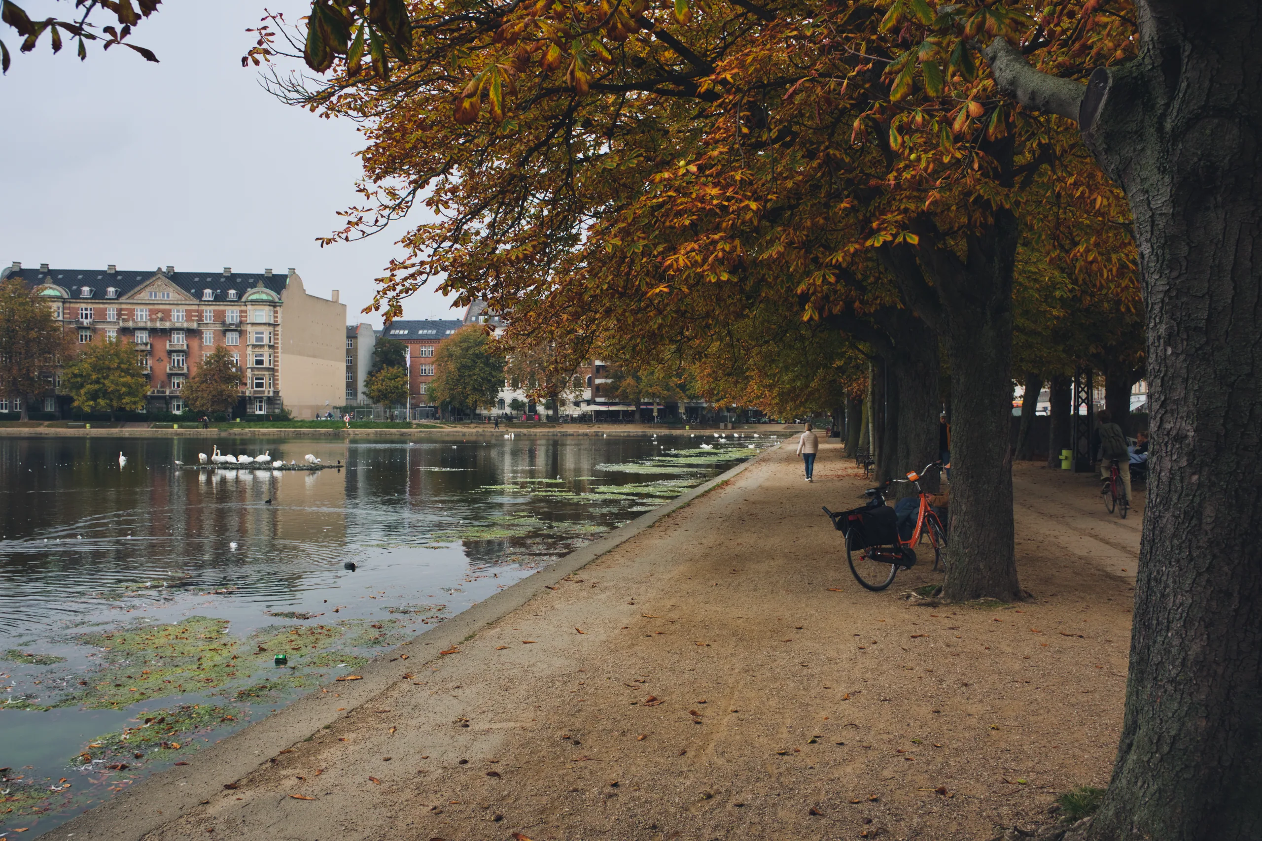 A gravel path under autumn trees running beside a lake, a cyclist passing and apartment buildings on the far shore.