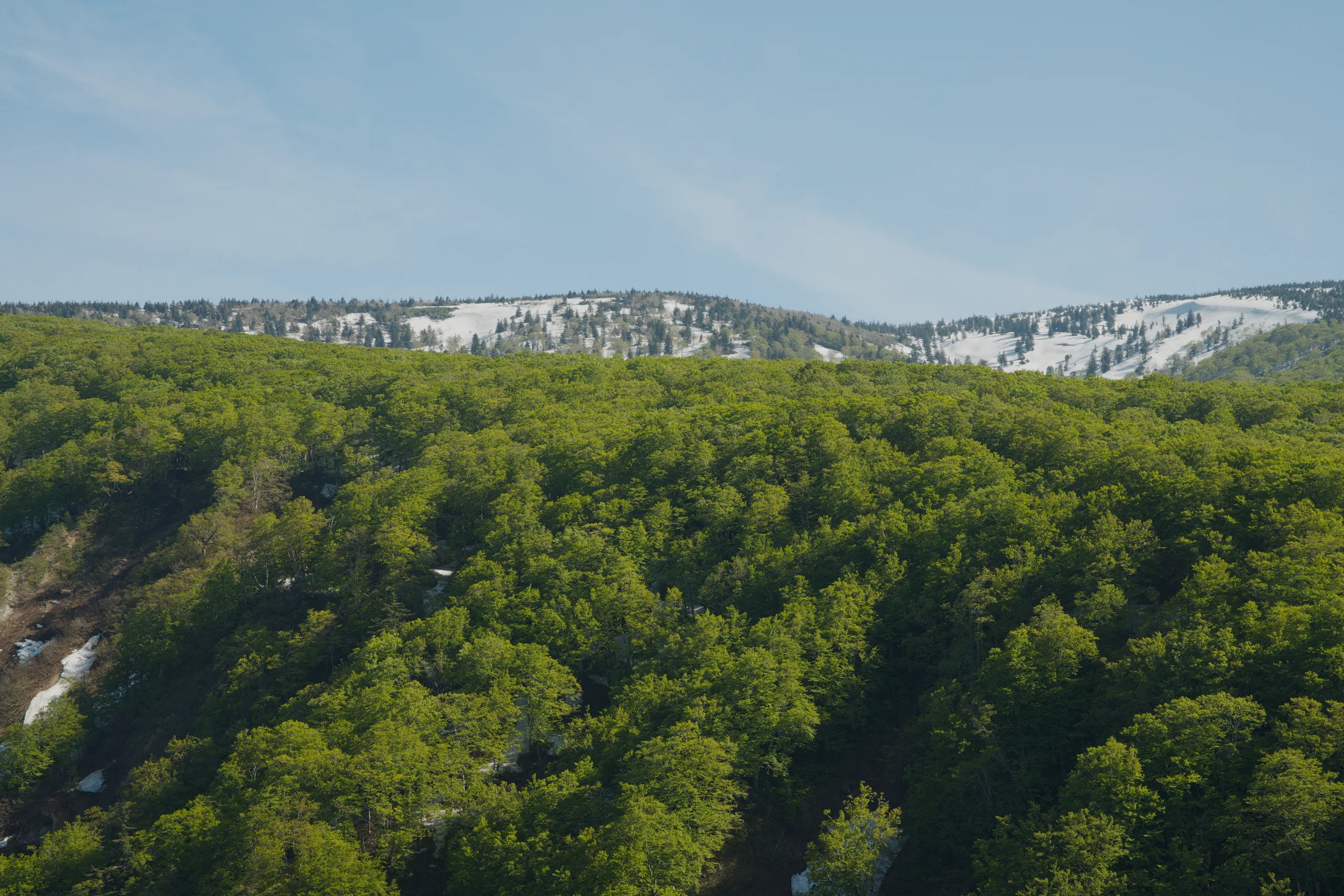 White buildings cluster on a distant hilltop above a forested valley.