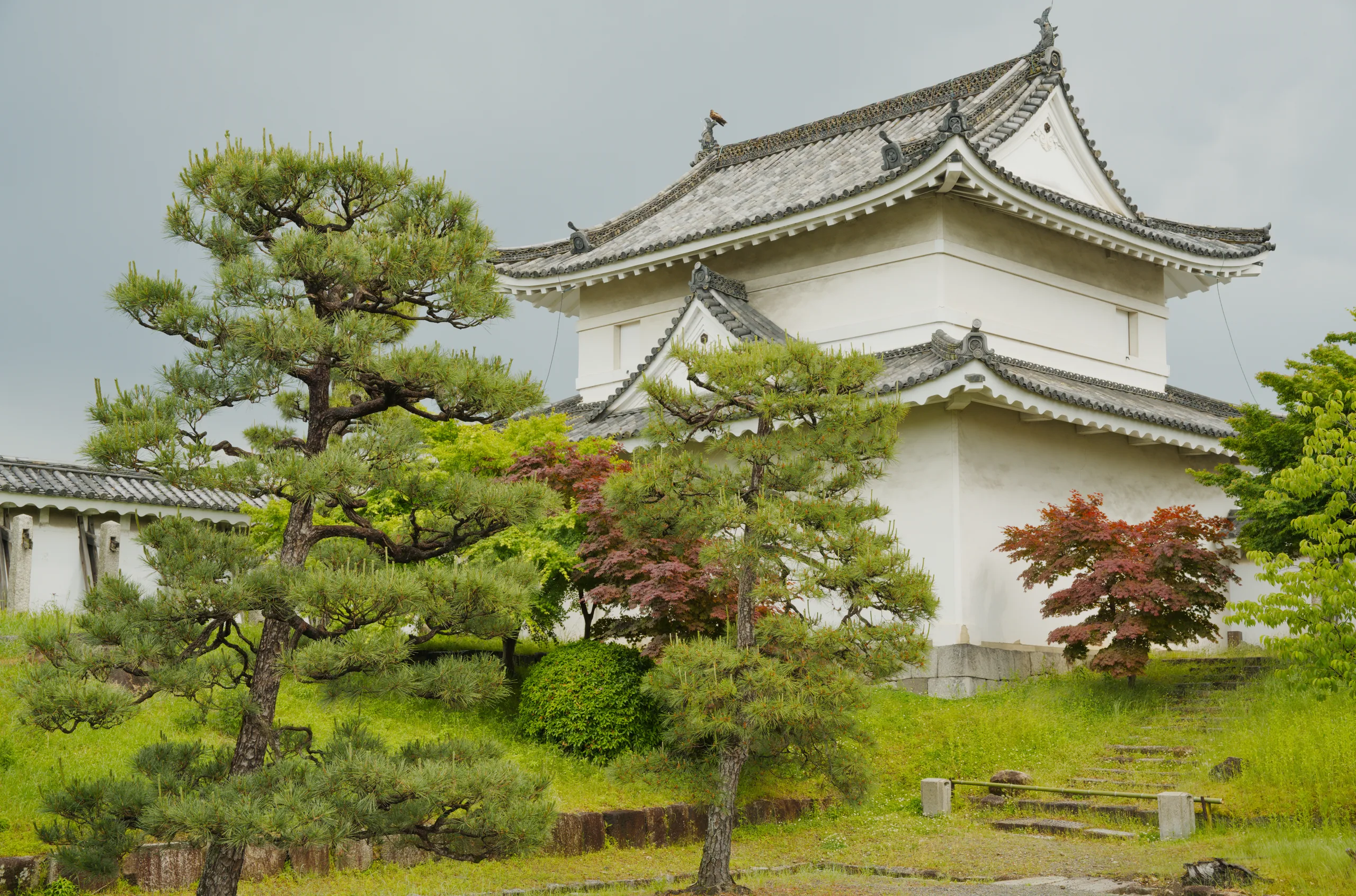 Japanese castle with curved roofs above a manicured garden featuring a pine tree and shrubs.