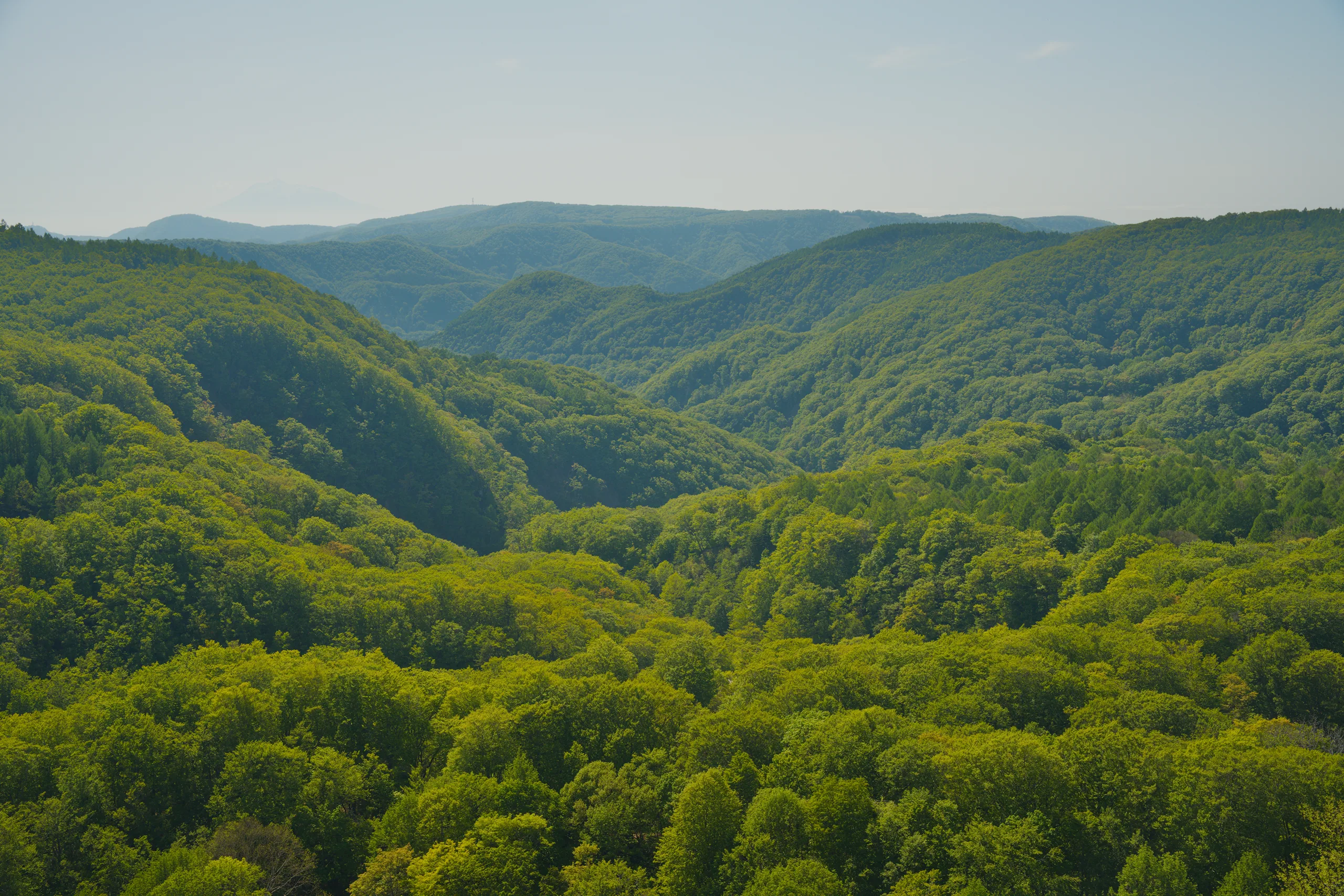 A river winds through a wide forested valley with steep hillsides on both sides.