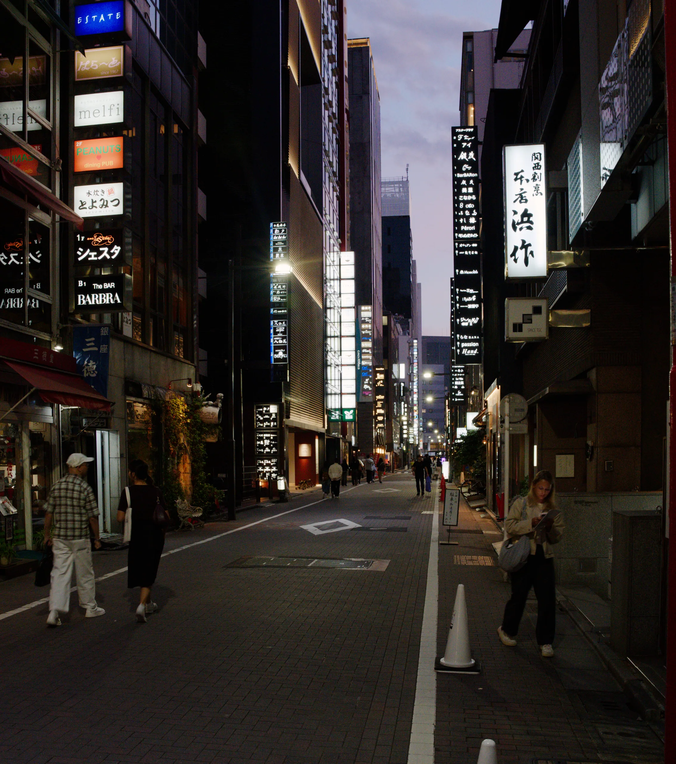 Neon storefronts and glowing signs line a Japanese shopping street where pedestrians walk at dusk.