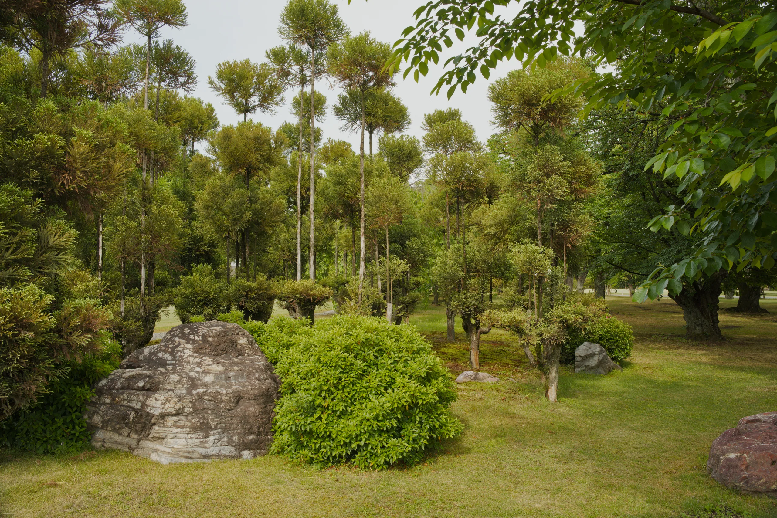 Tall trees line the far bank of a moat in a castle garden.