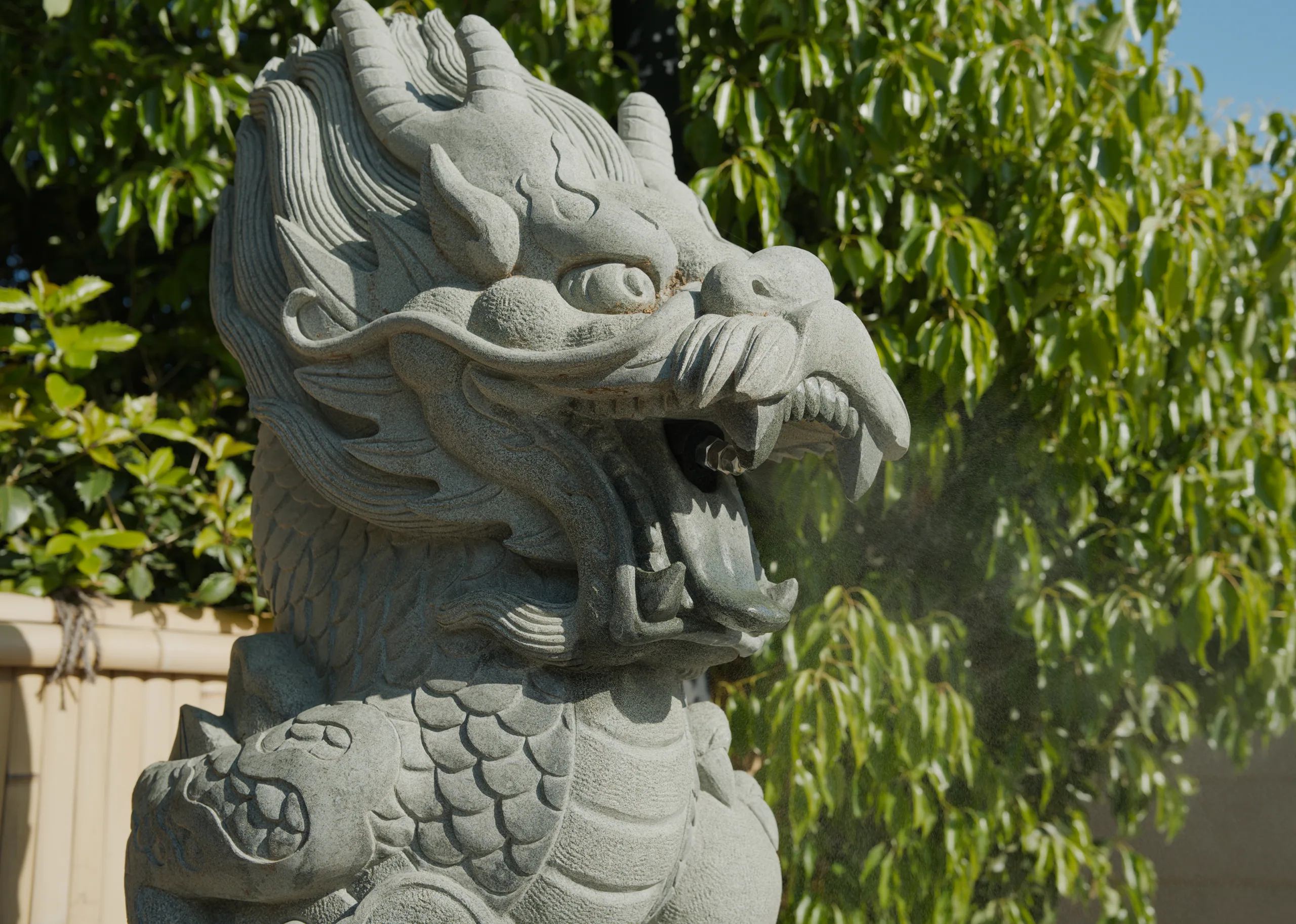 Stone dragon sculpture with green foliage behind it.