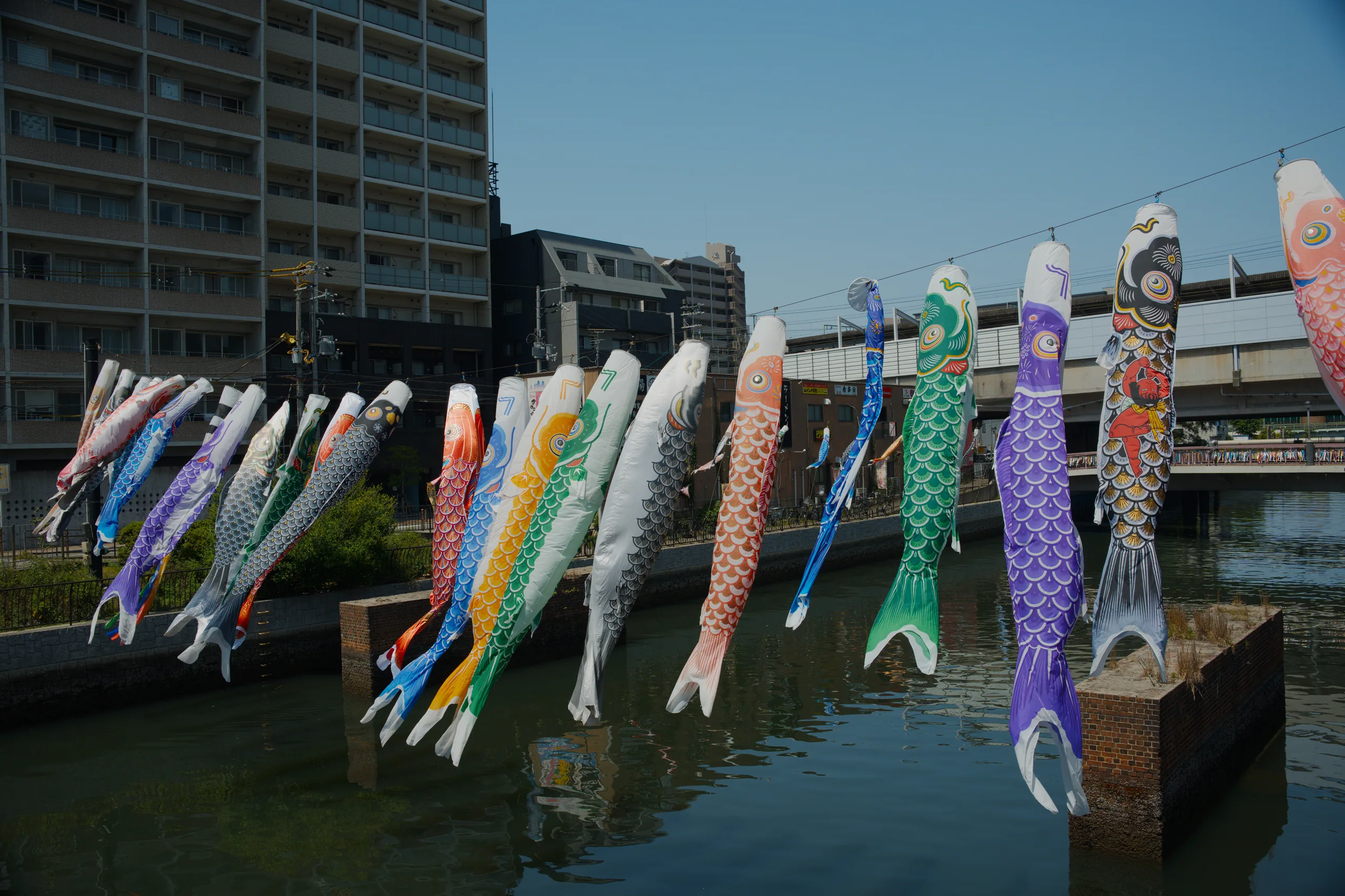Colorful koinobori in various patterns hang from a rope suspended over a river with a bridge and apartment buildings beyond.