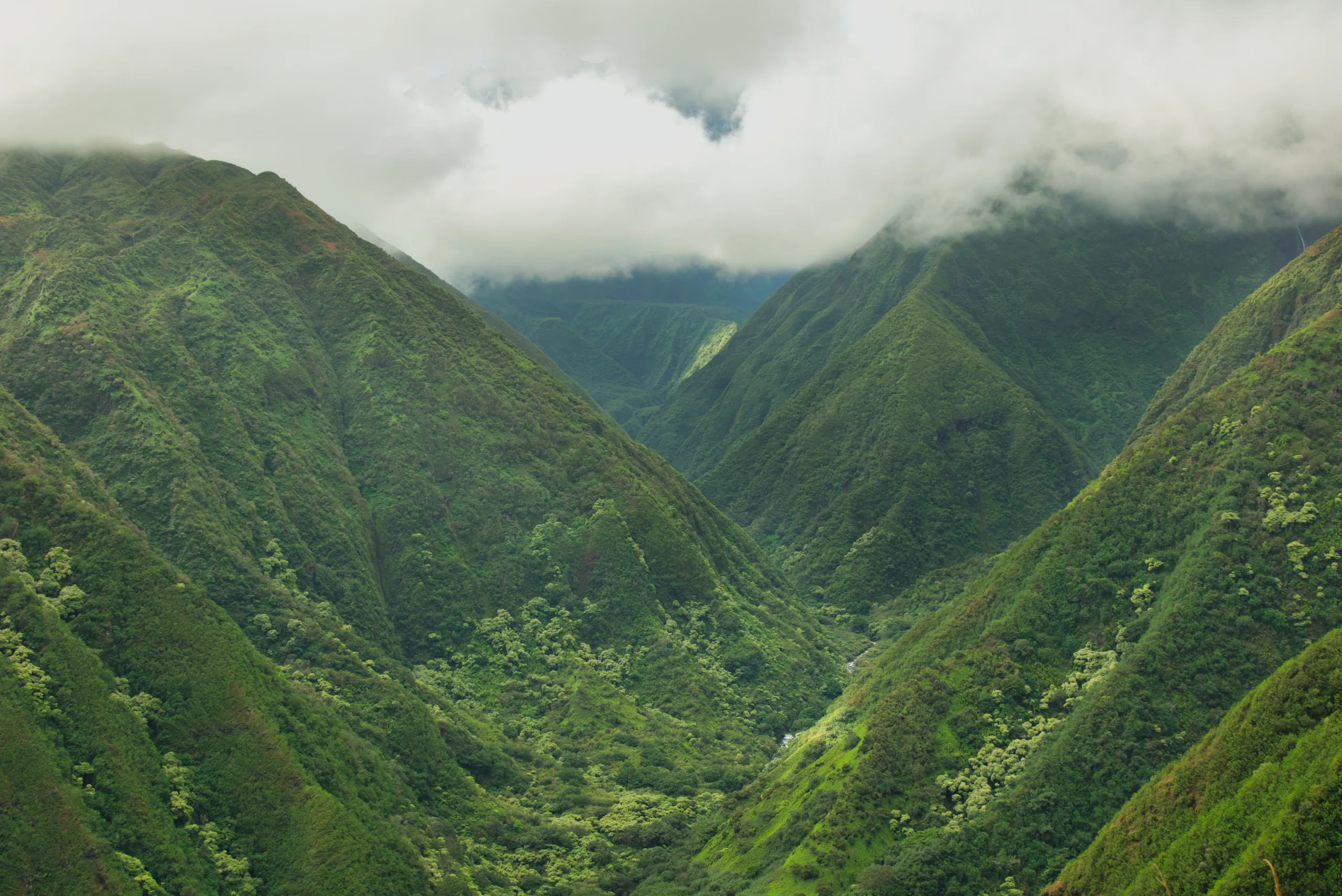 Steep green valley walls fluted with erosion gullies, their tops lost in low cloud.